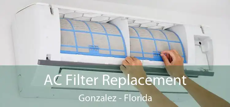 AC Filter Replacement Gonzalez - Florida