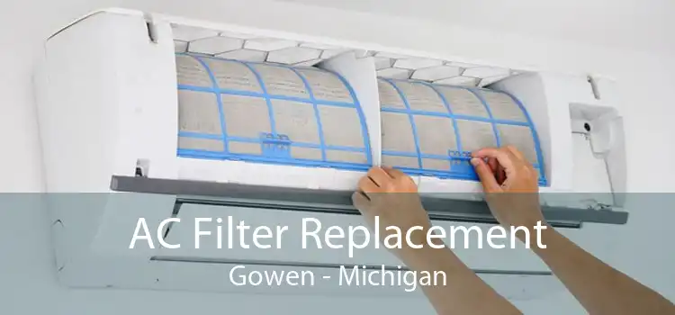 AC Filter Replacement Gowen - Michigan