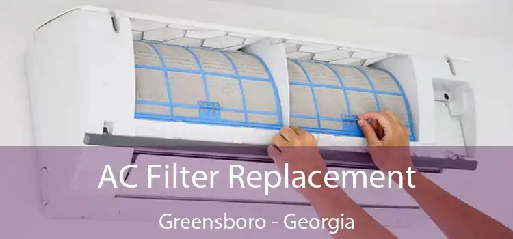 AC Filter Replacement Greensboro - Georgia