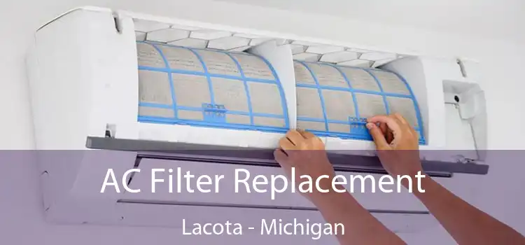 AC Filter Replacement Lacota - Michigan