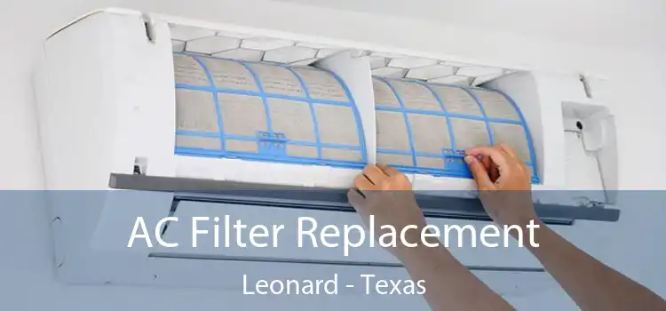 AC Filter Replacement Leonard - Texas