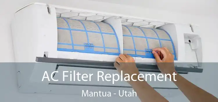 AC Filter Replacement Mantua - Utah