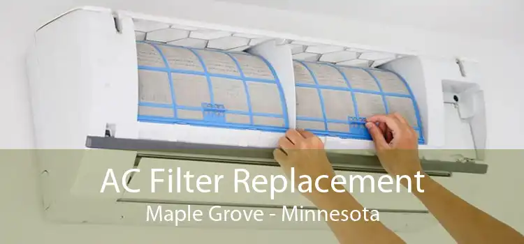 AC Filter Replacement Maple Grove - Minnesota