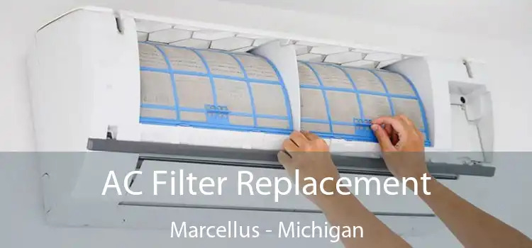 AC Filter Replacement Marcellus - Michigan