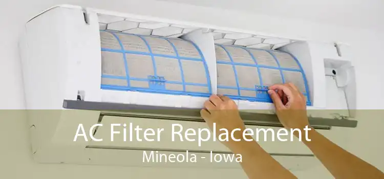 AC Filter Replacement Mineola - Iowa