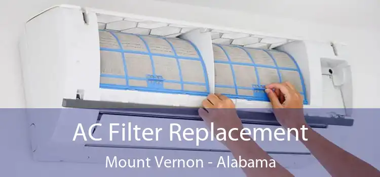 AC Filter Replacement Mount Vernon - Alabama