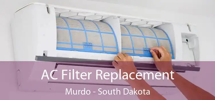 AC Filter Replacement Murdo - South Dakota