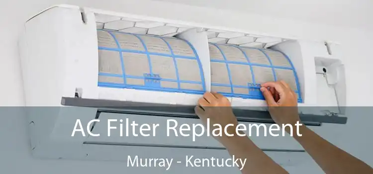 AC Filter Replacement Murray - Kentucky