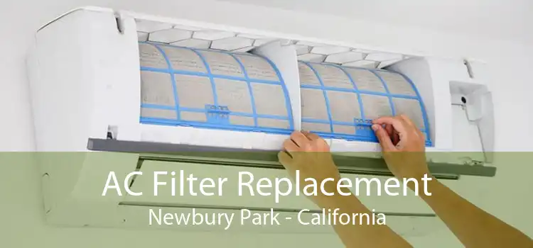 AC Filter Replacement Newbury Park - California