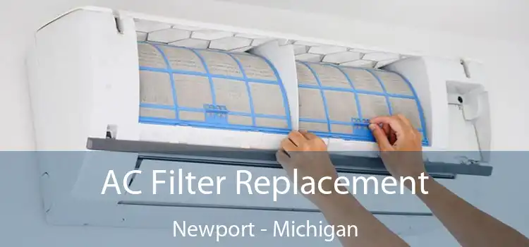 AC Filter Replacement Newport - Michigan