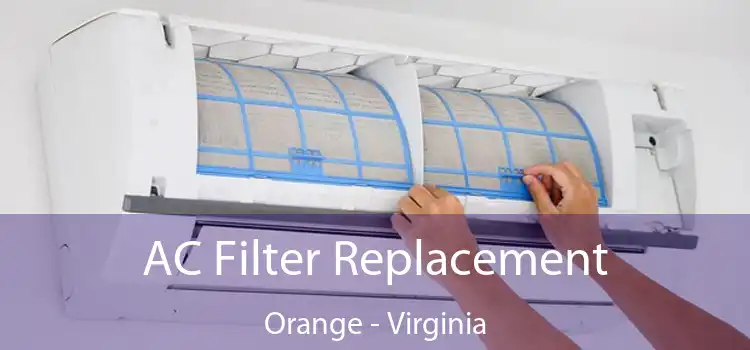 AC Filter Replacement Orange - Virginia