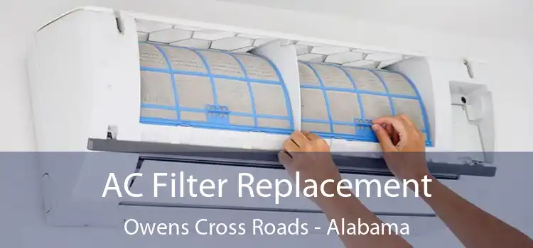 AC Filter Replacement Owens Cross Roads - Alabama