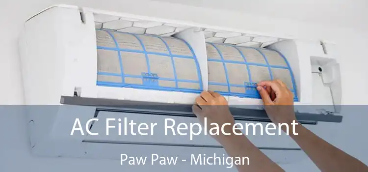 AC Filter Replacement Paw Paw - Michigan