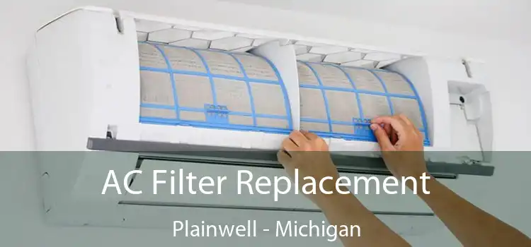 AC Filter Replacement Plainwell - Michigan