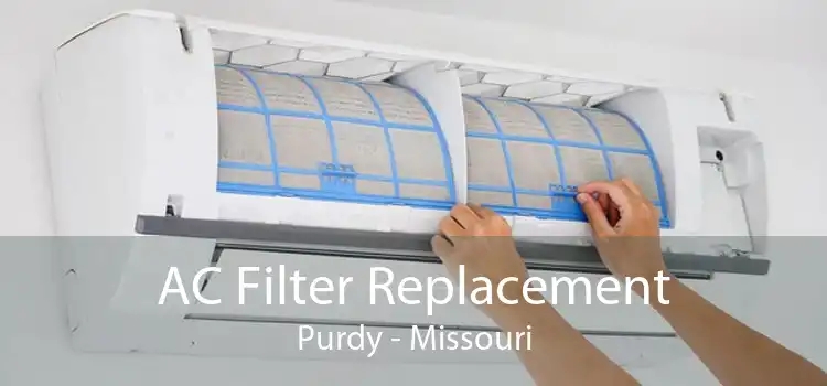 AC Filter Replacement Purdy - Missouri