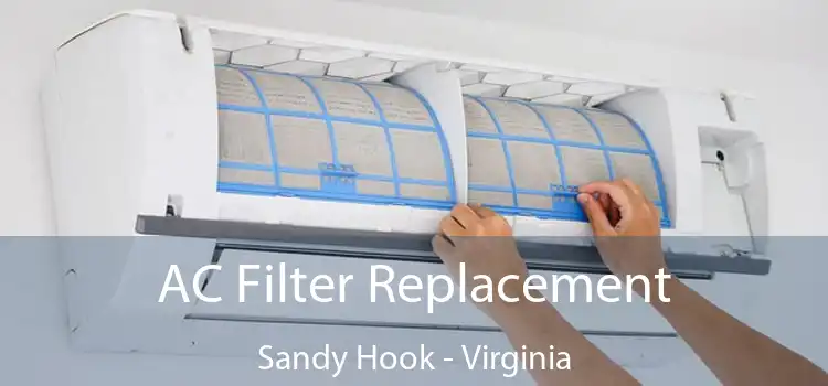 AC Filter Replacement Sandy Hook - Virginia