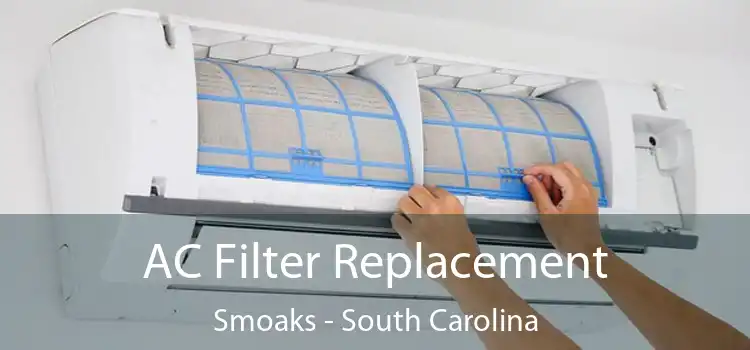 AC Filter Replacement Smoaks - South Carolina