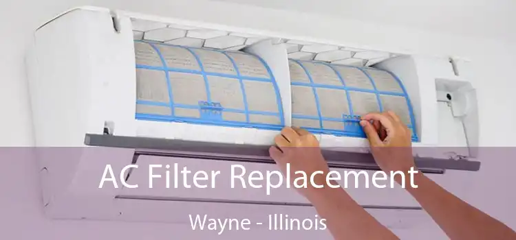 AC Filter Replacement Wayne - Illinois