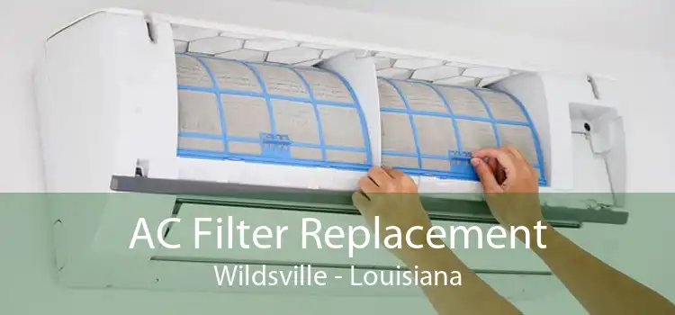 AC Filter Replacement Wildsville - Louisiana