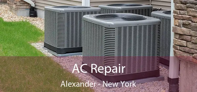 AC Repair Alexander - New York