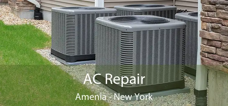 AC Repair Amenia - New York