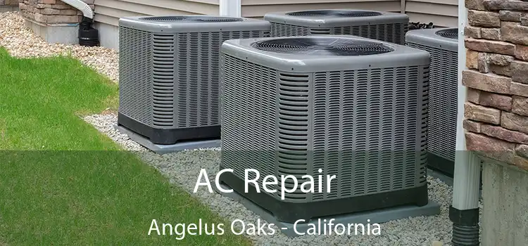 AC Repair Angelus Oaks - California