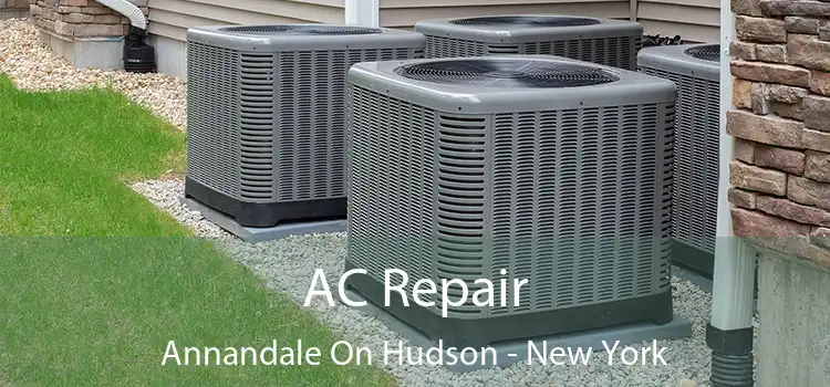 AC Repair Annandale On Hudson - New York