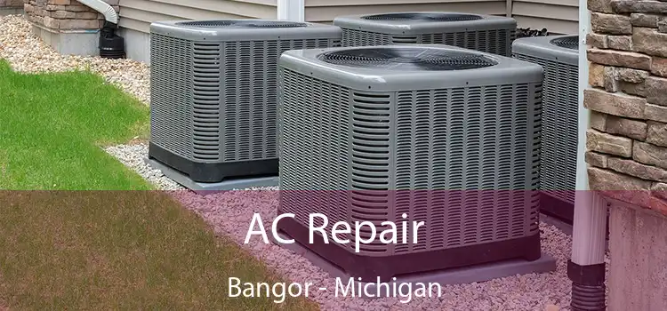 AC Repair Bangor - Michigan