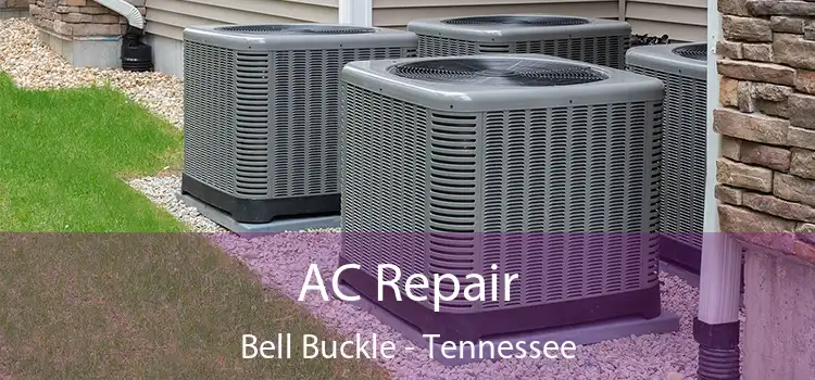 AC Repair Bell Buckle - Tennessee