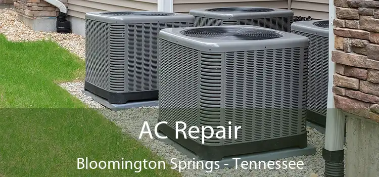 AC Repair Bloomington Springs - Tennessee