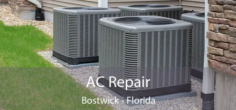 AC Repair Bostwick - Florida