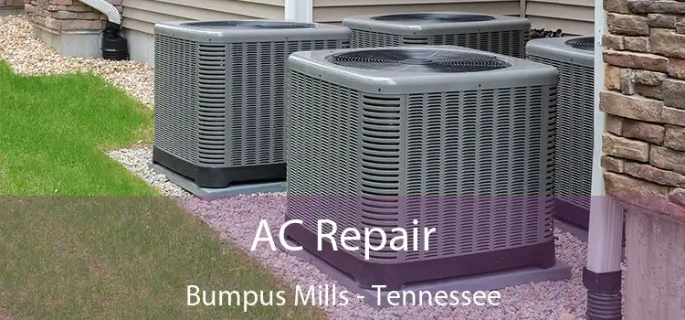 AC Repair Bumpus Mills - Tennessee