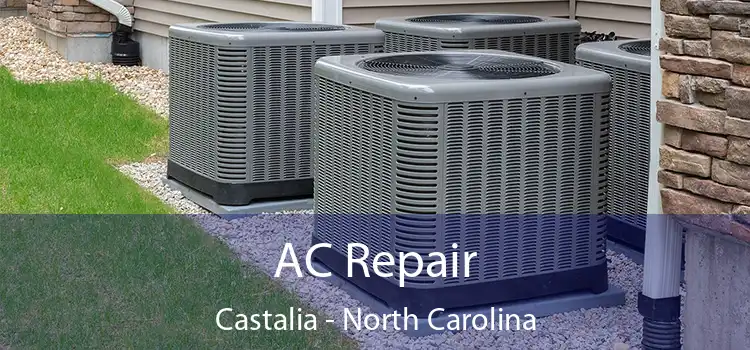 AC Repair Castalia - North Carolina