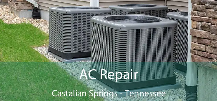 AC Repair Castalian Springs - Tennessee