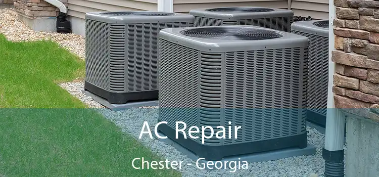 AC Repair Chester - Georgia