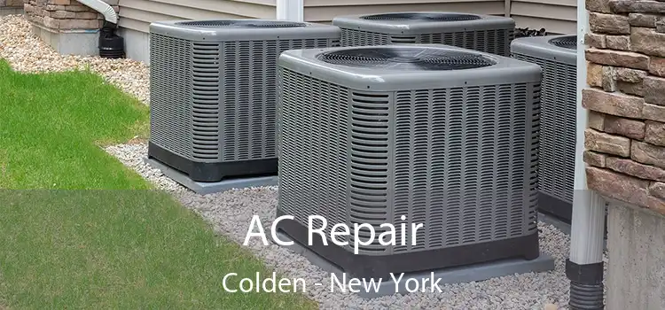 AC Repair Colden - New York