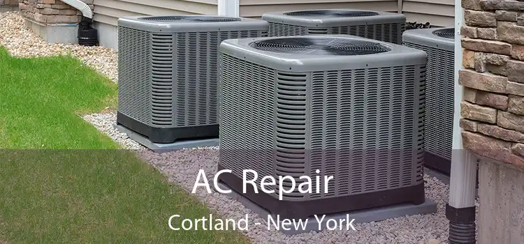 AC Repair Cortland - New York