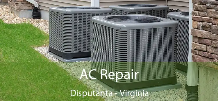 AC Repair Disputanta - Virginia