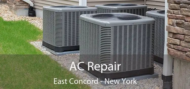 AC Repair East Concord - New York