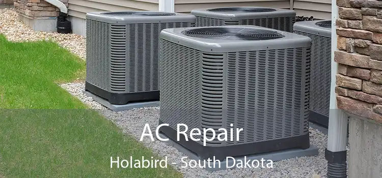 AC Repair Holabird - South Dakota