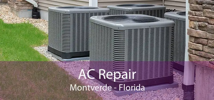 AC Repair Montverde - Florida