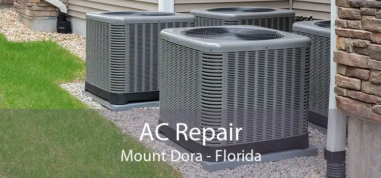 AC Repair Mount Dora - Florida