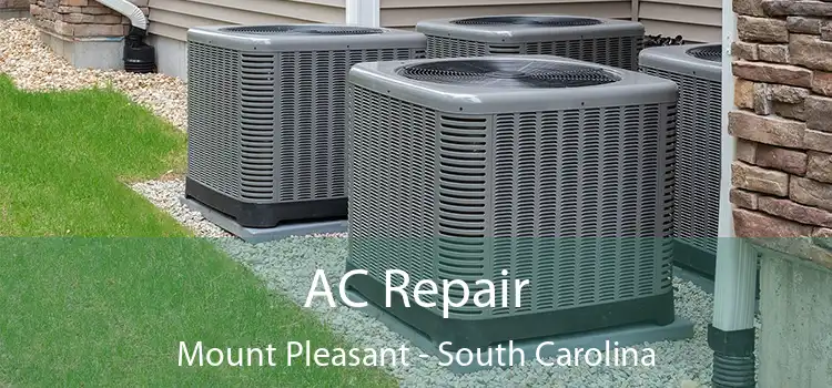 AC Repair Mount Pleasant - South Carolina