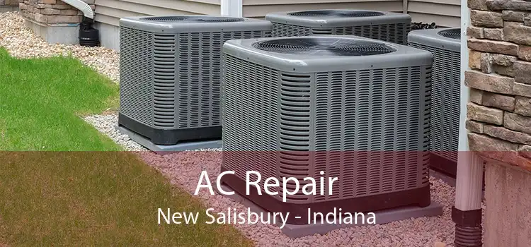 AC Repair New Salisbury - Indiana