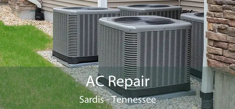 AC Repair Sardis - Tennessee