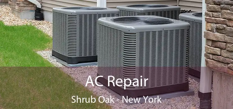 AC Repair Shrub Oak - New York