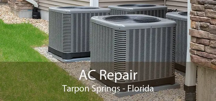 AC Repair Tarpon Springs - Florida