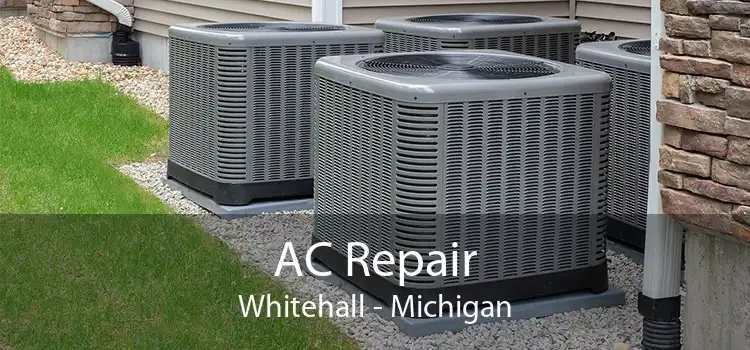 AC Repair Whitehall - Michigan