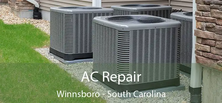 AC Repair Winnsboro - South Carolina