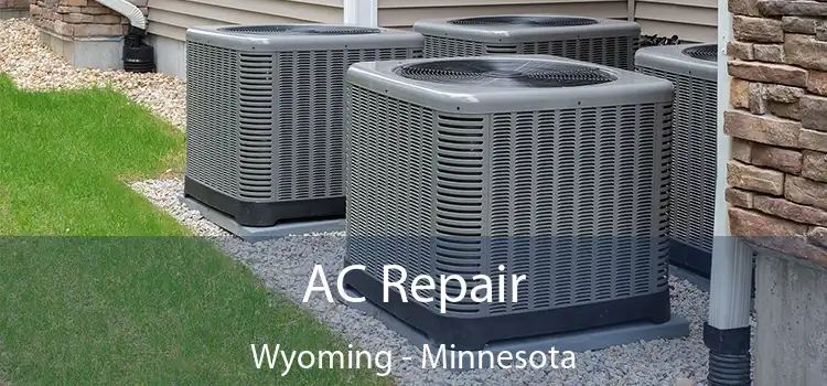 AC Repair Wyoming - Minnesota